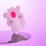 PAPER BUILDER NAIL FORMS "DNKa", LONG 500 PCS - Imagen 4